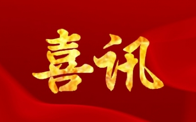 公司順利通過(guò)浙江省企業(yè)技術(shù)中心復(fù)評(píng)，并獲“優(yōu)秀”等級(jí)